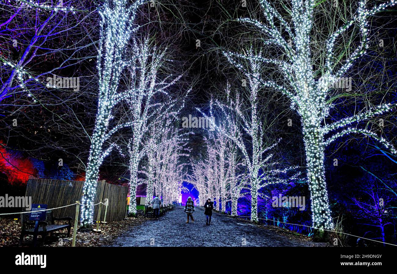 Kenwood house central london hires stock photography and images Alamy