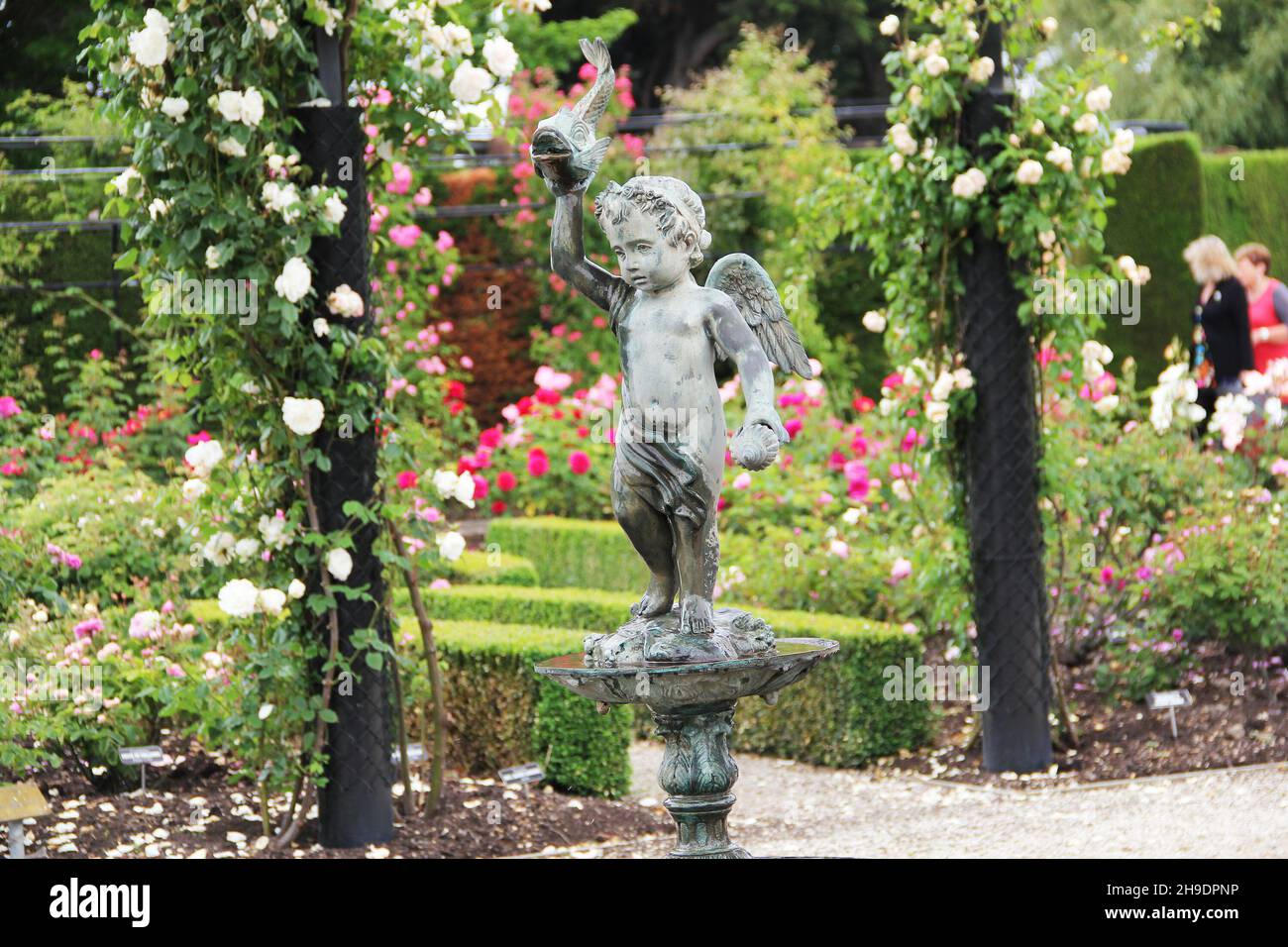 People visiting beautiful landscape of roses in Trevor Griffiths Public Rose Garden in Timaru, New Zealand on Nov 28, 2010 Stock Photo