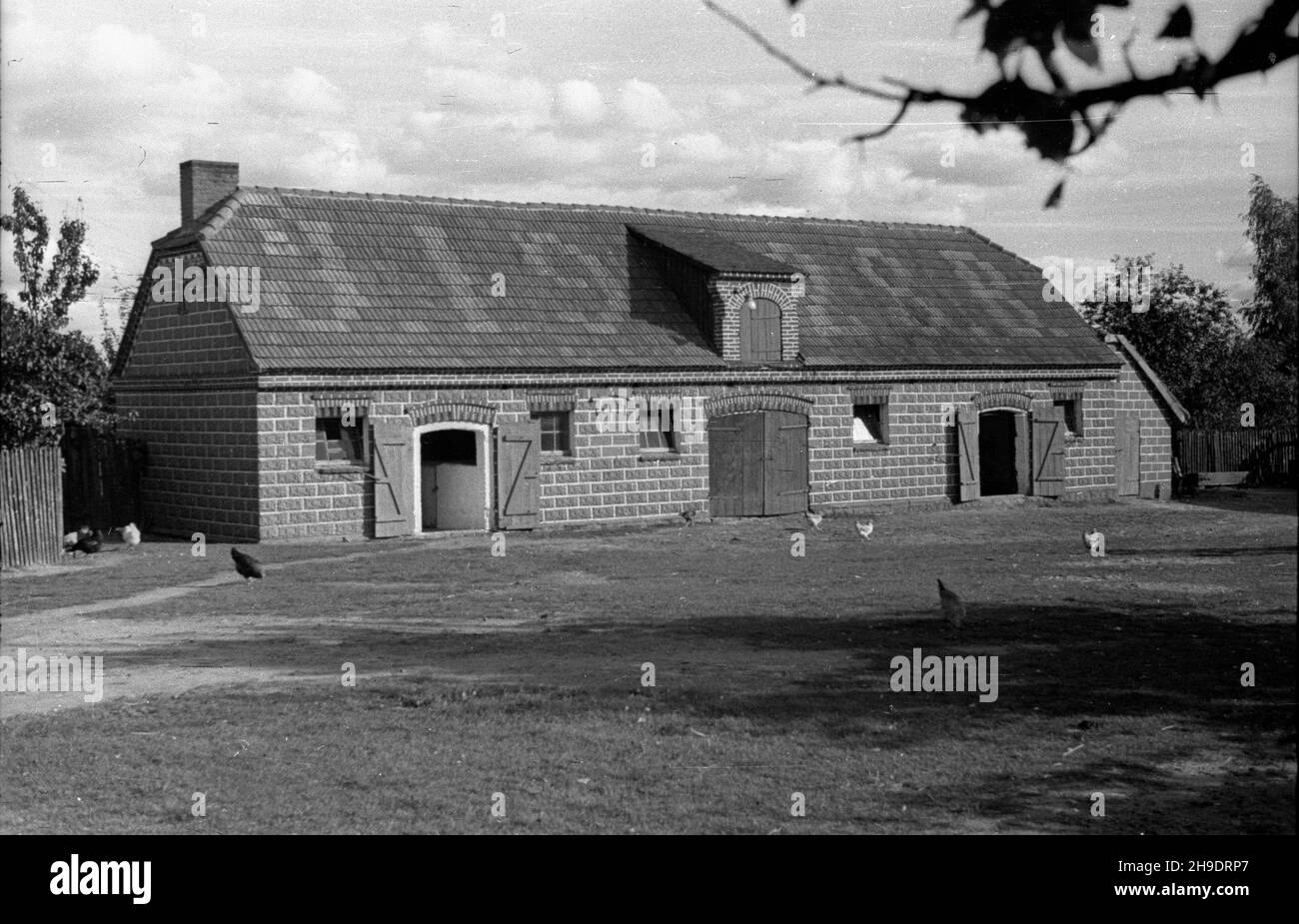 Lisków, 1947-10. Murowana obora z 1928 r. wb/gr  PAP    Dok³adny dzieñ wydarzenia nieustalony.      Liskow, Oct. 1947. A brick barn built in 1928.  wb/gr  PAP Stock Photo