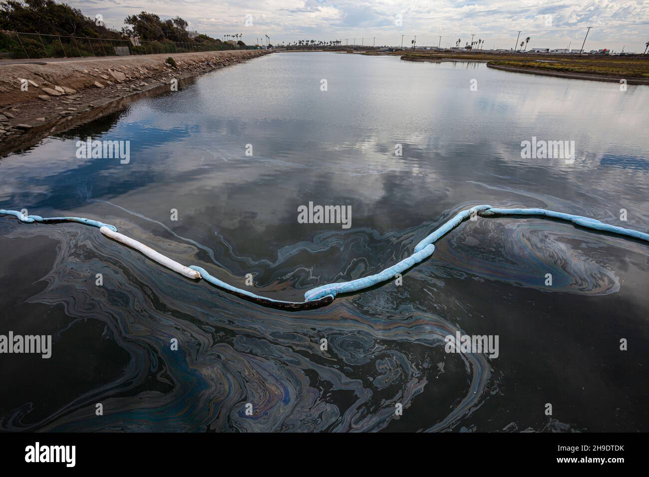 A boom blocks an oil slick in the Talbert Marsh near Huntington State Beach. An estimated 127,000 gallons of crude oil leaked from an oil derrick pipe Stock Photo