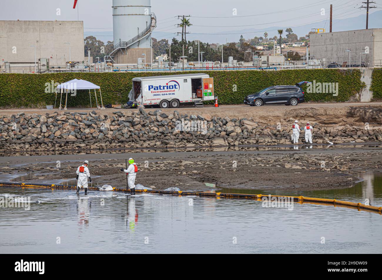 A cleanup crew mops up oil in the Talbert Marsh, home to many birds and ...