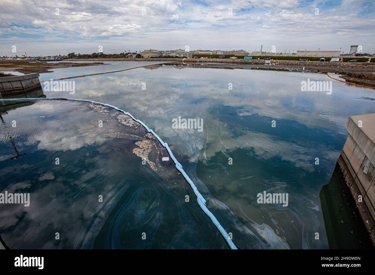 An oil slick in the Talbert Marsh near Huntington State Beach. An estimated 127,000 gallons of crude oil leaked from an oil derrick pipeline in the Ca Stock Photo