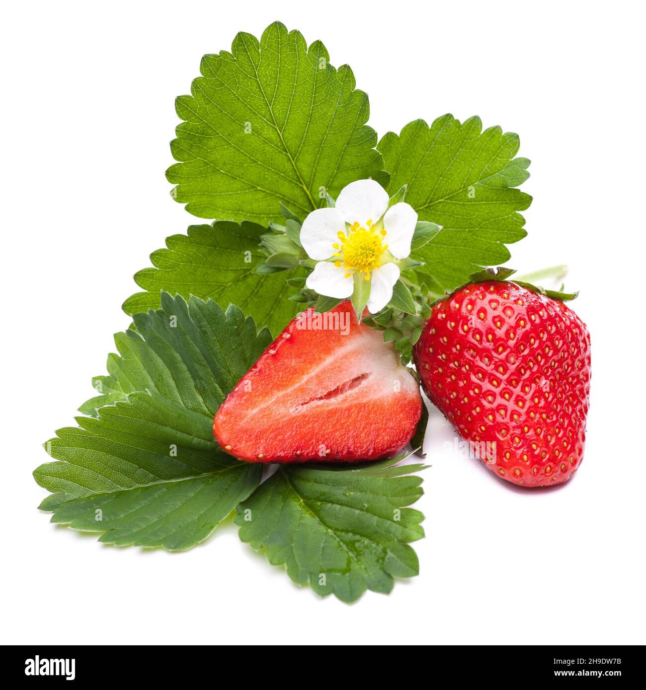 strawberry, natural, fruit, single, red, lying, table, optional, alone, studio shot, background, horizontal, beautiful, greens, isolated, whole, healt Stock Photo