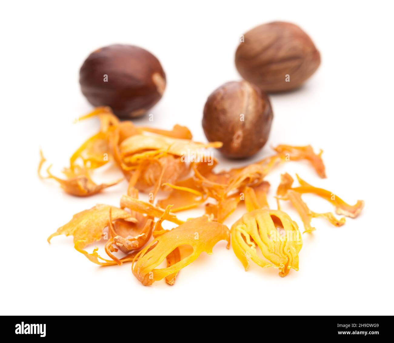nutmeg, nuts, whole, details, background, closeup, one behind the