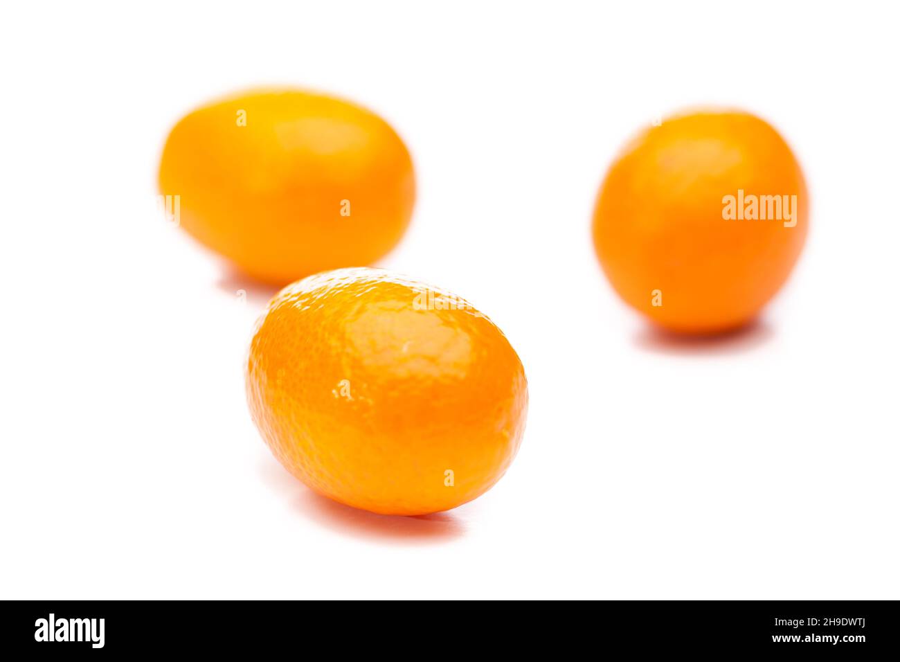 kumquat, orange, fortunella, small, kumquats, dwarf oranges, tiny