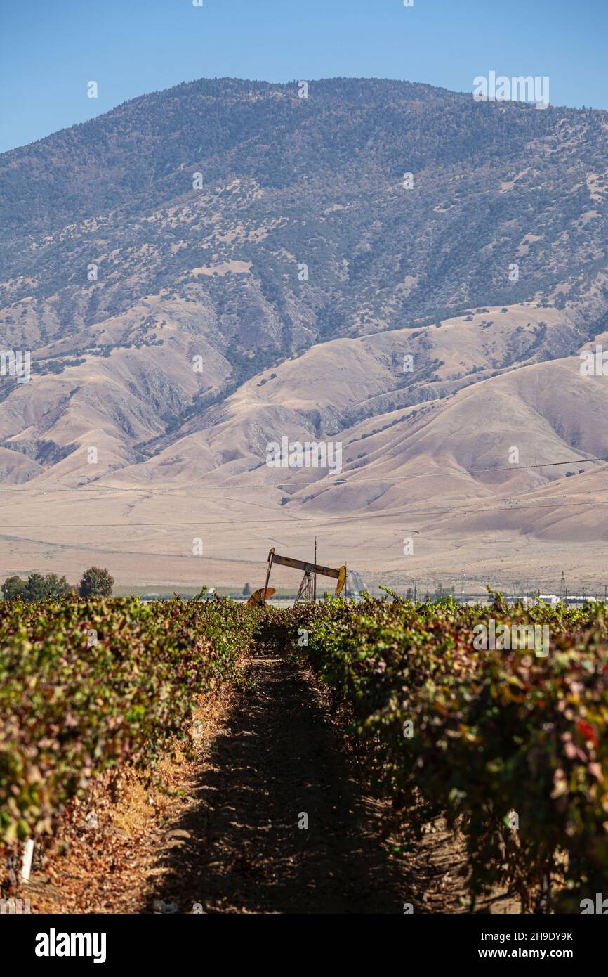 Oil well in crop field, Arvin, Kern County, California, USA Stock Photo