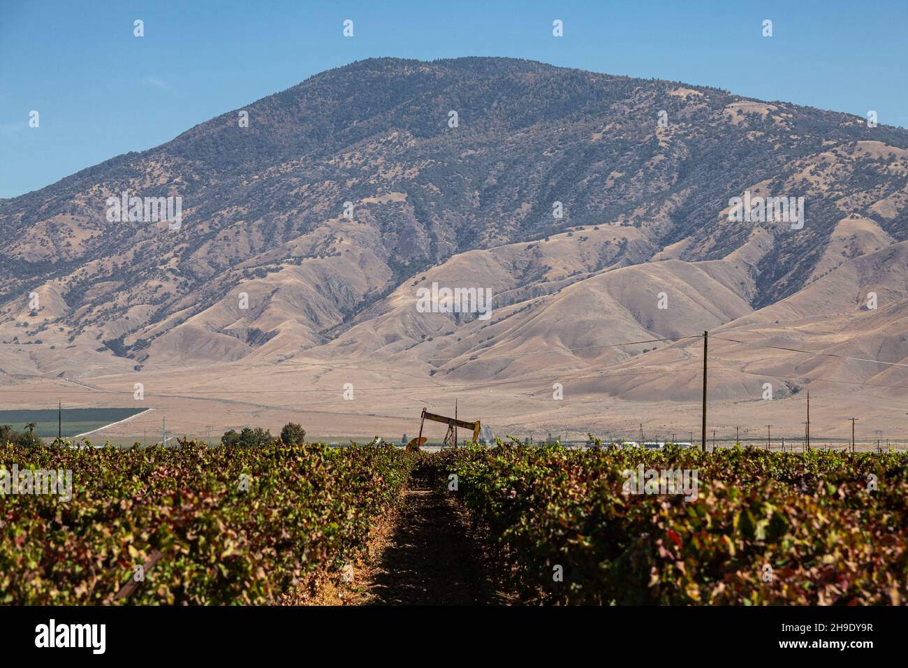 Oil well in crop field, Arvin, Kern County, California, USA Stock Photo