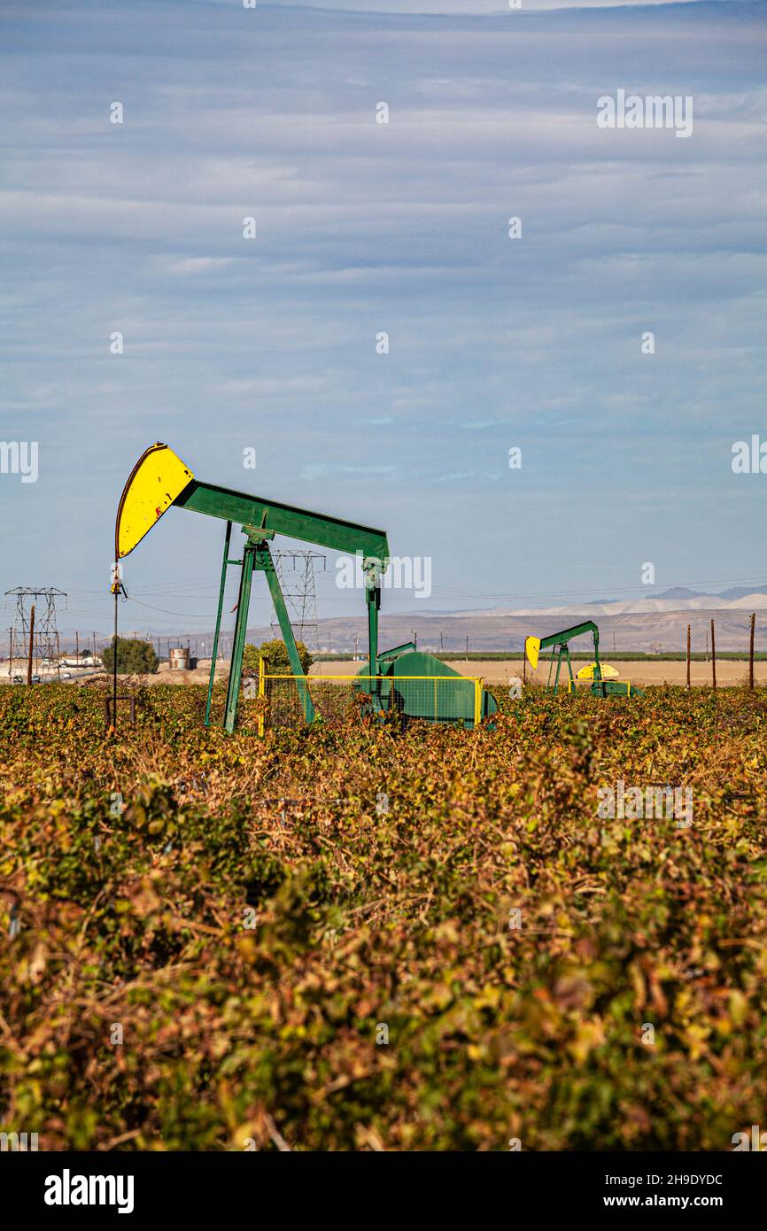 Oil wells in crop field, Mountain View Oil Field, Arvin, Kern County, California, USA Stock Photo