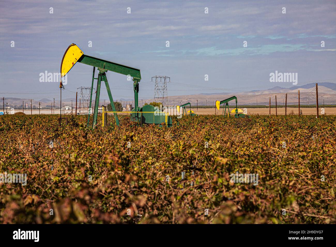 Oil wells in crop field, Mountain View Oil Field, Arvin, Kern County, California, USA Stock Photo