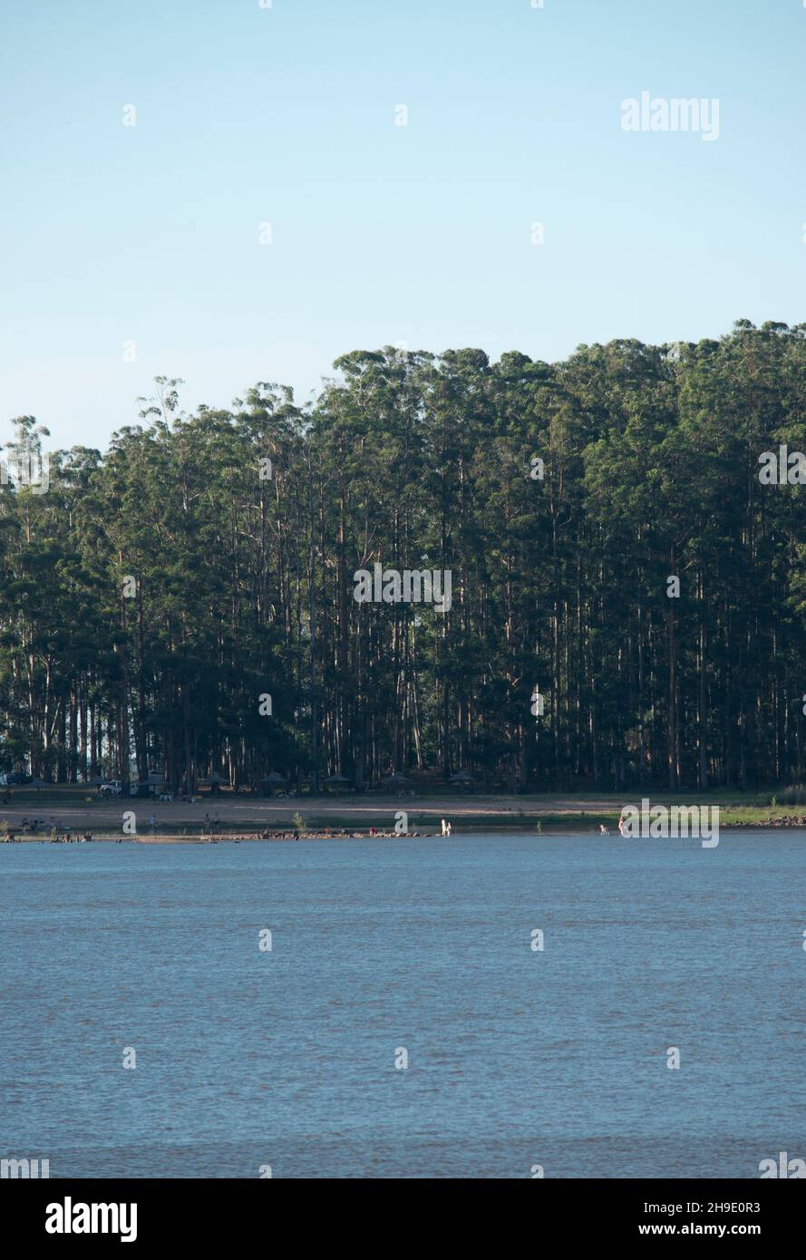 Peaceful calm woodland in hi-res stock photography and images - Alamy