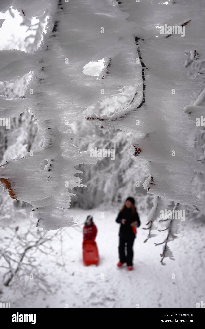 Frozen nature hi-res stock photography and images - Alamy