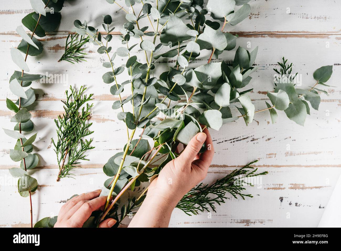 Hand holding olive branch hi-res stock photography and images - Alamy