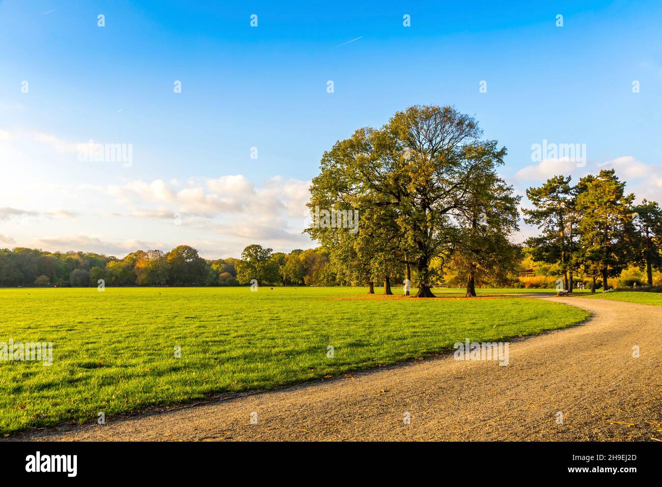 Rosenthal forest park in Leipzig city, Saxony, Germany. Located north