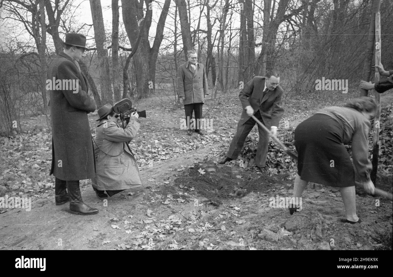 Warszawa, 1947-11. Prezydent Boles³aw Bierut bierze udzia³ w spo³ecznej akcji jesiennego sadzenia drzew. Nz. m.in. Boles³aw Bierut (2P) i sekretarka prezydenta Wanda Górska (P) w Parku Natoliñskim. Z lewej ekipa Polskiej Kroniki Filmowej (PKF): W³adys³aw Forbert (z kamer¹) i Mieczys³aw Wiesio³ek. umr  PAP    Dok³adny dzieñ wydarzenia nieustalony.    Warsaw, Nov. 1947. President Boleslaw Bierut takes part in the autumn social action of tree planting in the Natolinski Park. Pictured: President Boleslaw Bierut (centre), his personal assistant Wanda Gorska (right). From left: Polish Newsreel camer Stock Photo