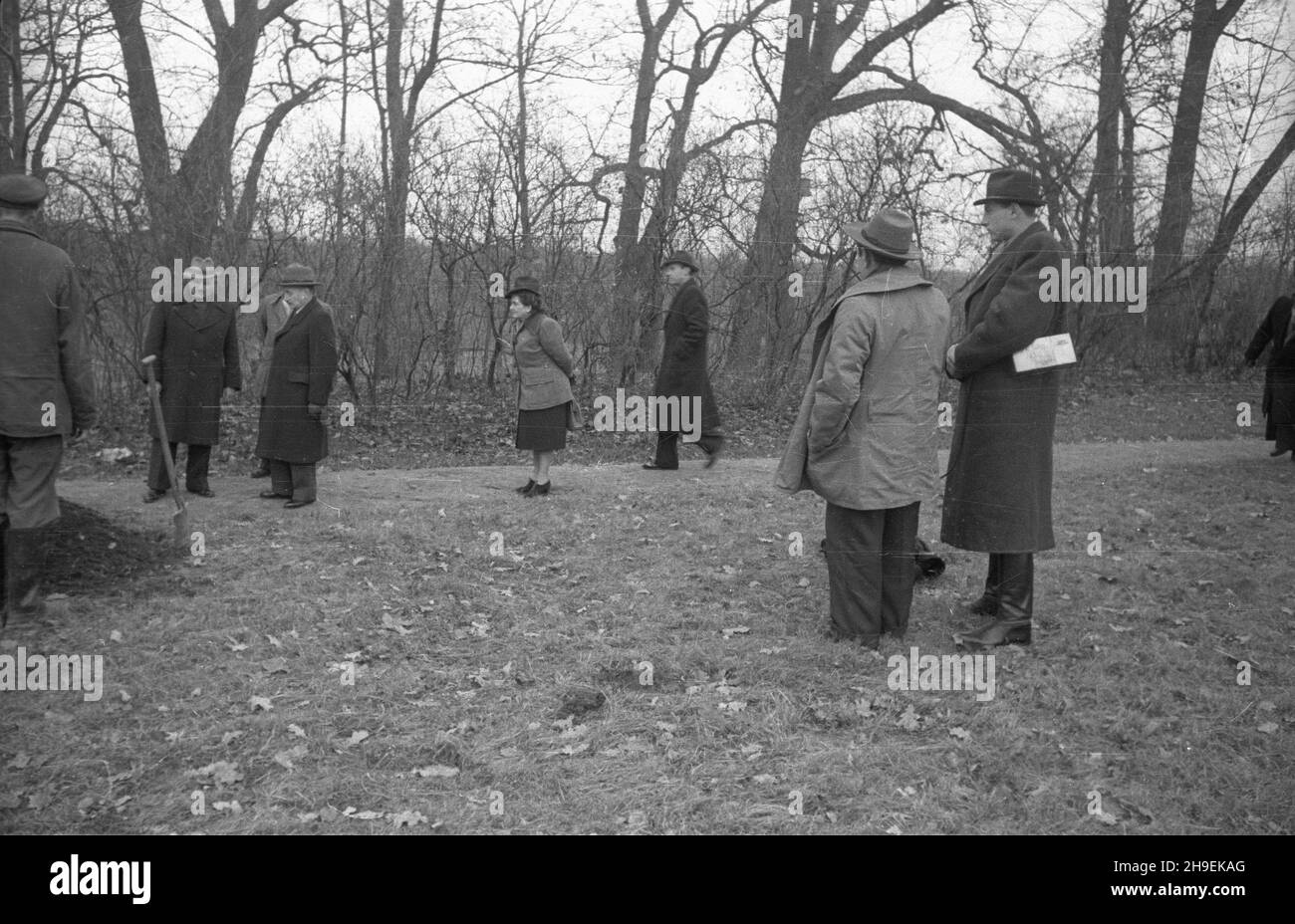 Warszawa, 1947-11. Prezydent Boles³aw Bierut bierze udzia³ w spo³ecznej akcji jesiennego sadzenia drzew w Parku Natoliñskim. Nz. Boles³aw Bierut (3L), sekretarka prezydenta Wanda Górska (4L) i szef kancelarii prezydenta Kazimierz Mijal (3P). Z prawej operatorzy Polskiej Kroniki Filmowej: W³adys³aw Forbert (L) i Mieczys³aw Wiesio³ek (P). po/mgs PAP Dok³adny dzieñ wydarzenia nieustalony. Warsaw, Nov. 1947. President Boleslaw Bierut takes part in the autumn social action of tree planting in the Natolinski Park. Pictured: Boleslaw Bierut (3rd from left), the president's personal assistant Stock Photo