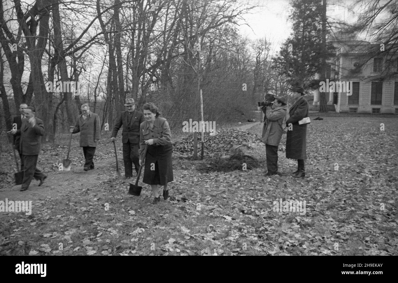 Warszawa, 1947-11. Prezydent Boles³aw Bierut bierze udzia³ w spo³ecznej akcji jesiennego sadzenia drzew w Parku Natoliñskim. Nz. m.in. sekretarka prezydenta Wanda Górska, szef kancelarii prezydenta Kazimierz Mijal (1L), Boles³aw Bierut (2L). Z prawej operatorzy Polskiej Kroniki Filmowej (PKF): W³adys³aw Forbert (z kamer¹) i Mieczys³aw Wiesio³ek. po/mgs  PAP    Dok³adny dzieñ wydarzenia nieustalony.      Warsaw, Nov. 1947. President Boleslaw Bierut takes part in the autumn social action of tree planting in the Natolinski Park. Pictured: his personal assistant Wanda Gorska, head of the President Stock Photo