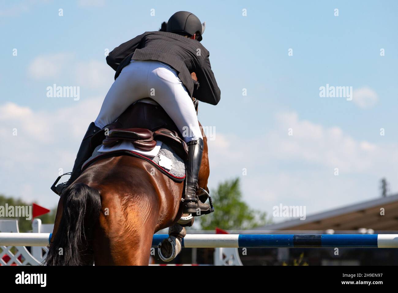 Horse Jumping, Equestrian Sports, Show Jumping event themed photograph