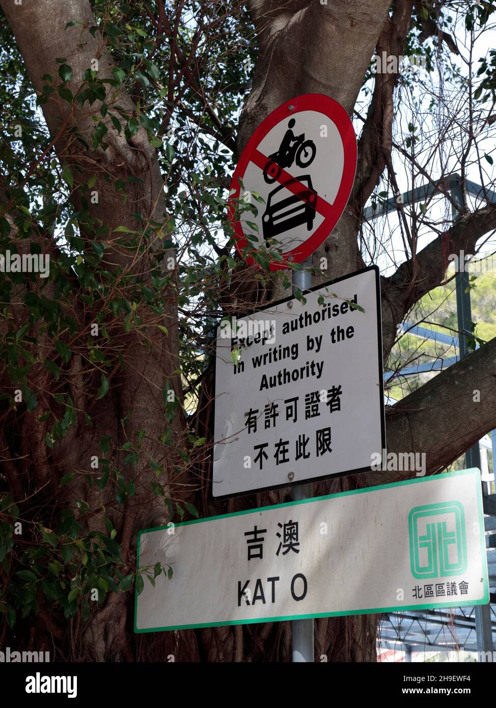 Road sign banning vehicles beside a banyan tree next to ferry pier, Kat O (Crooked Island), Mirs Bay, northeast Hong Kong 27th Nov 2021 Stock Photo