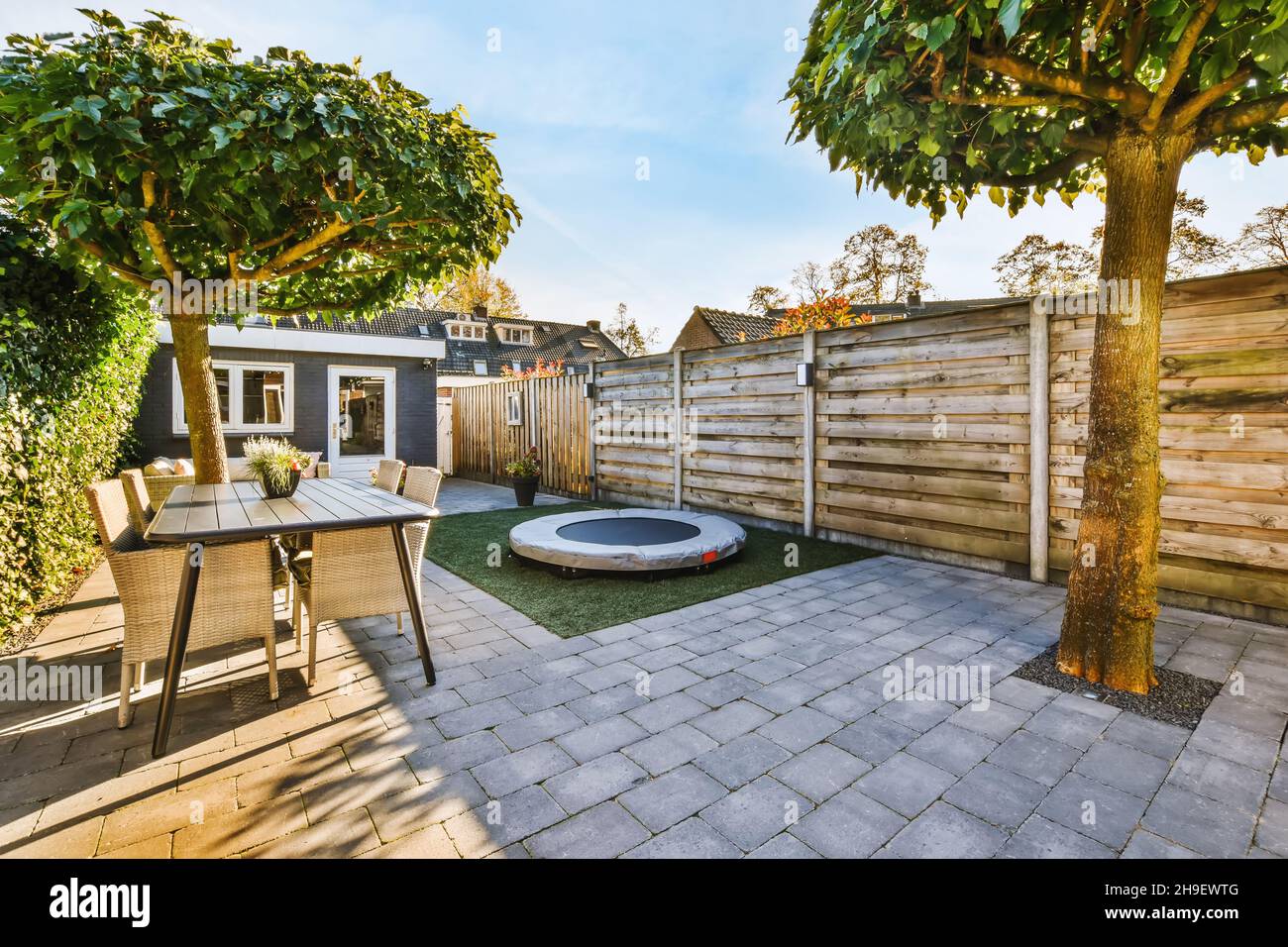 The courtyard of a house with well-groomed trees of a beautiful shape ...