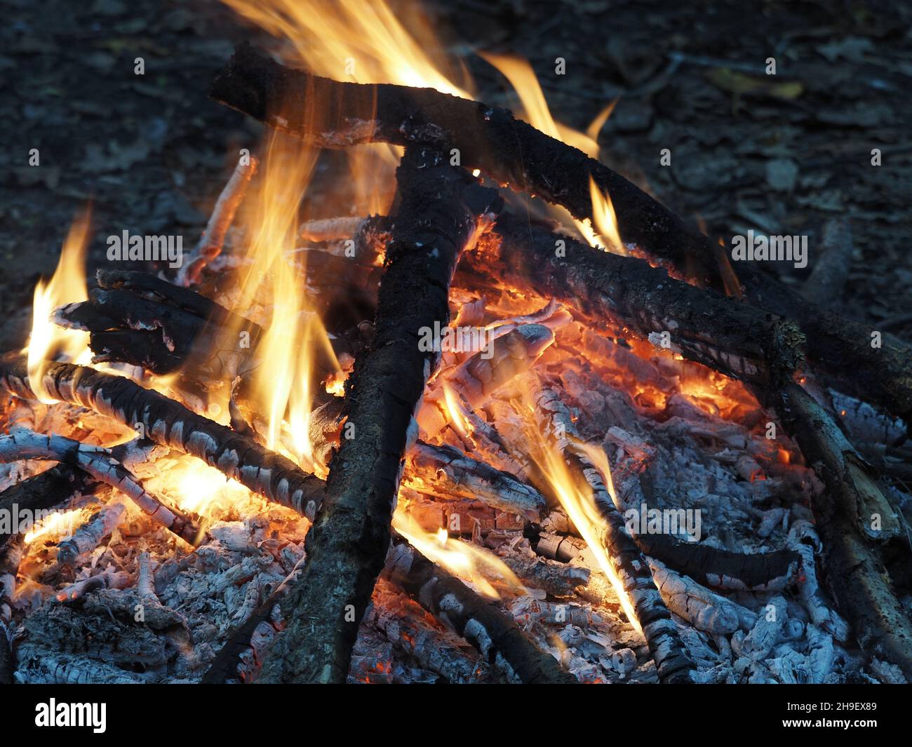 Closeup shot of burning twigs in a fire Stock Photo Alamy