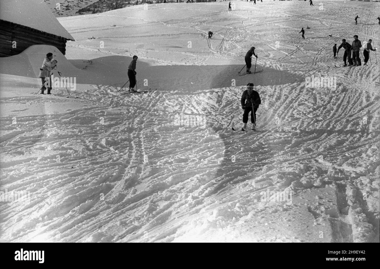 Zakopane, 1947-12. Narciarze w KuŸnicach. bb/gr  PAP    Dok³adny dzieñ wydarzenia nieustalony.      Zakopane, Dec. 1947. Skiers in Kuznice.  bb/gr  PAP Stock Photo