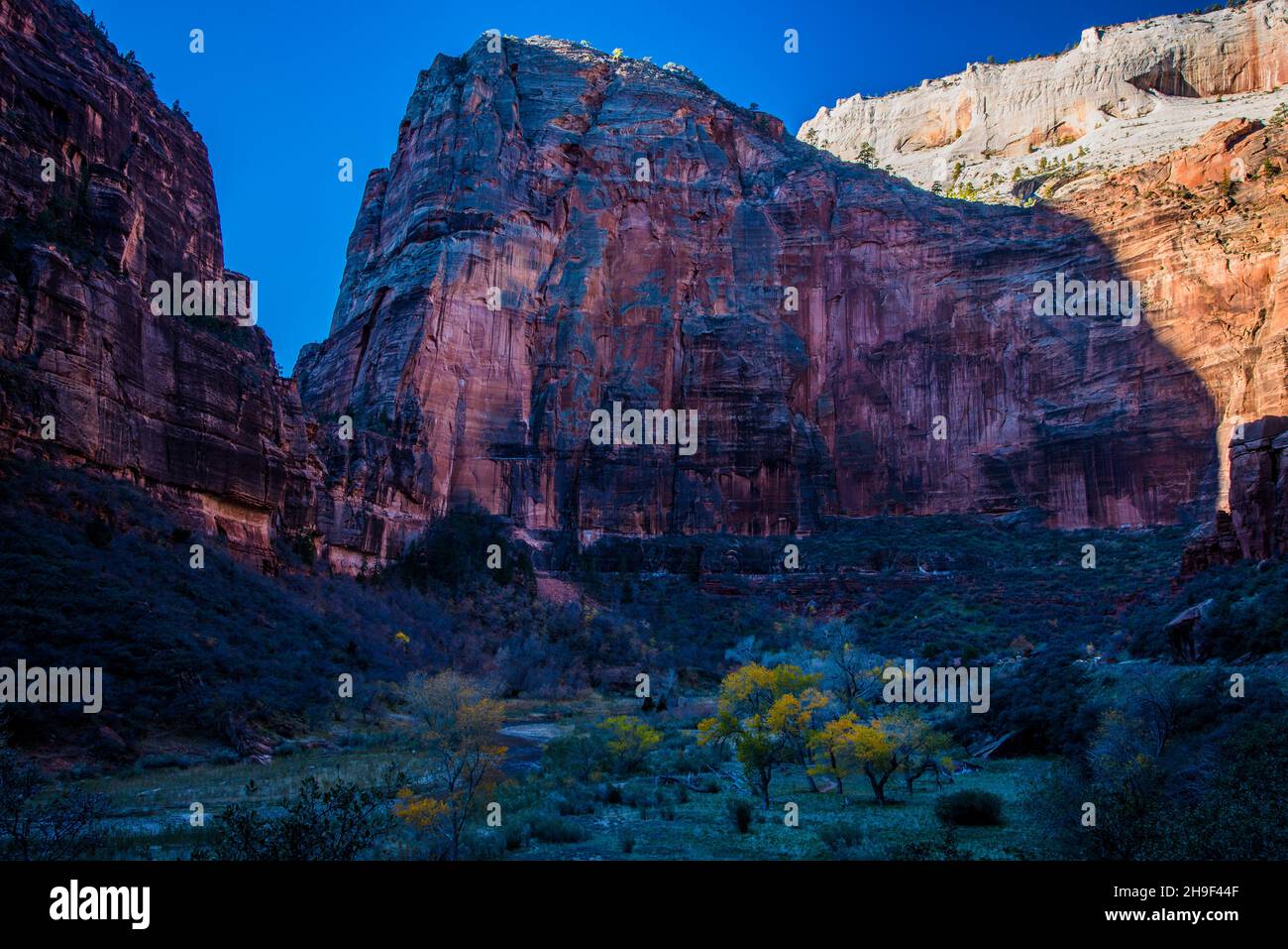 Massive red rock cliffs tower above the Virgin River in Zions National Park.  This view is called, Big Bend.  Views like this are common in the park. Stock Photo