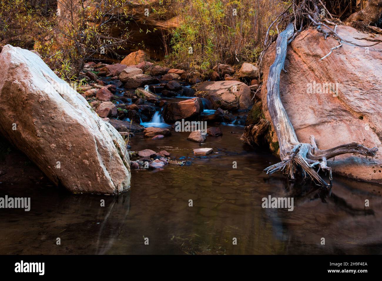 Pure, clean water trickles through the sandstone of high mountain ...