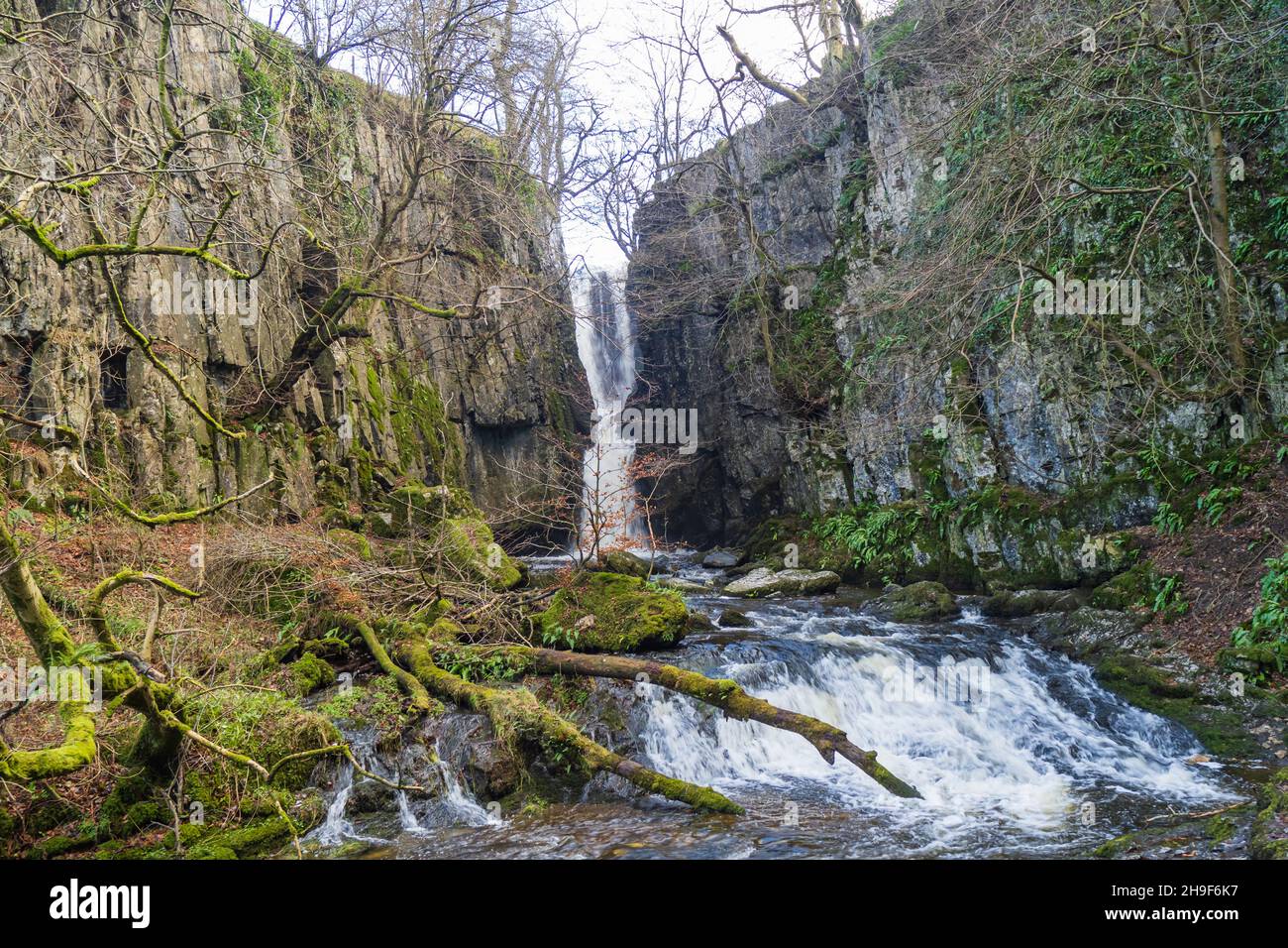 Catrigg Force waterfall above Stainforth in the Yorkshire Dales Stock