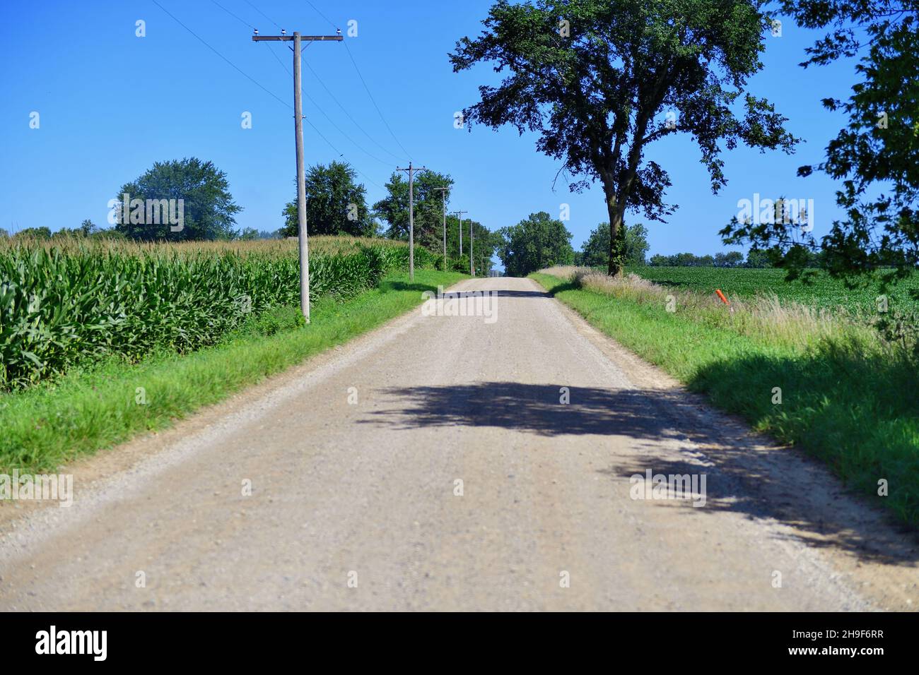 LaGrange, Indiana, USA. An empty section of road stretching through a rural area of northeastern Indiana. The area is dotted by Amish farms. Stock Photo