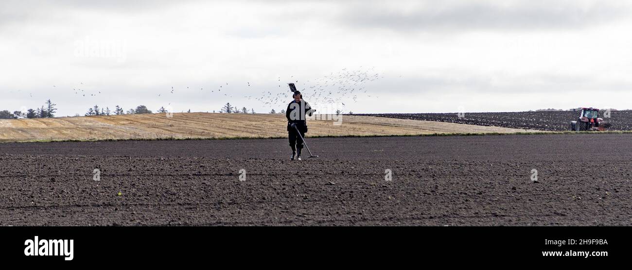 Lonly detectorist searcing for ancient treasures Stock Photo - Alamy