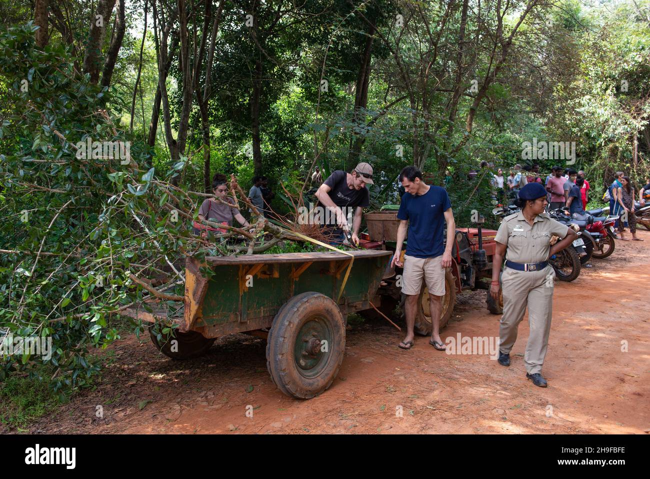 Auroville, India - 4th December 2021: Trying to save a tree just cutted by the intervention of the excavators that appeared in the Bliss forest, prote Stock Photo