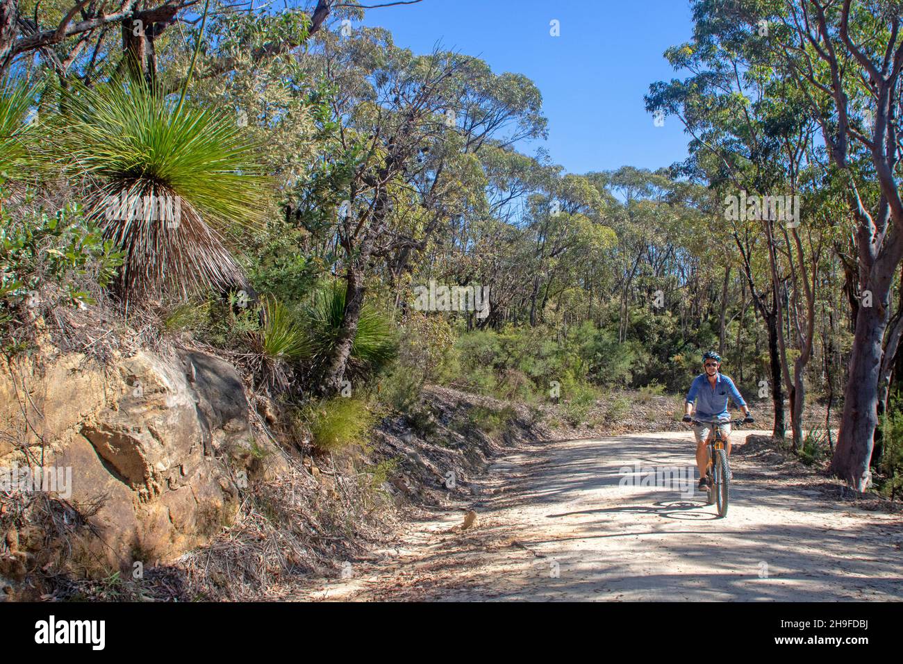 Cycling on the Woodford-Oaks Trail, Blue Mountains National Park Stock Photo