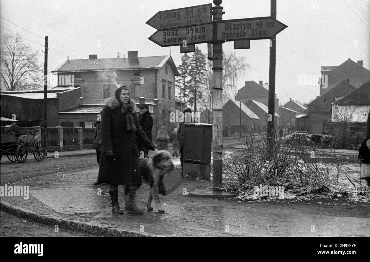 Mor¹g, 1948-02. Kobieta z psem na spacerze. po/gr  PAP    Dok³adny dzieñ wydarzenia nieustalony.      Morag, Feb. 1948. A woman walking with a dog.  po/gr  PAP Stock Photo