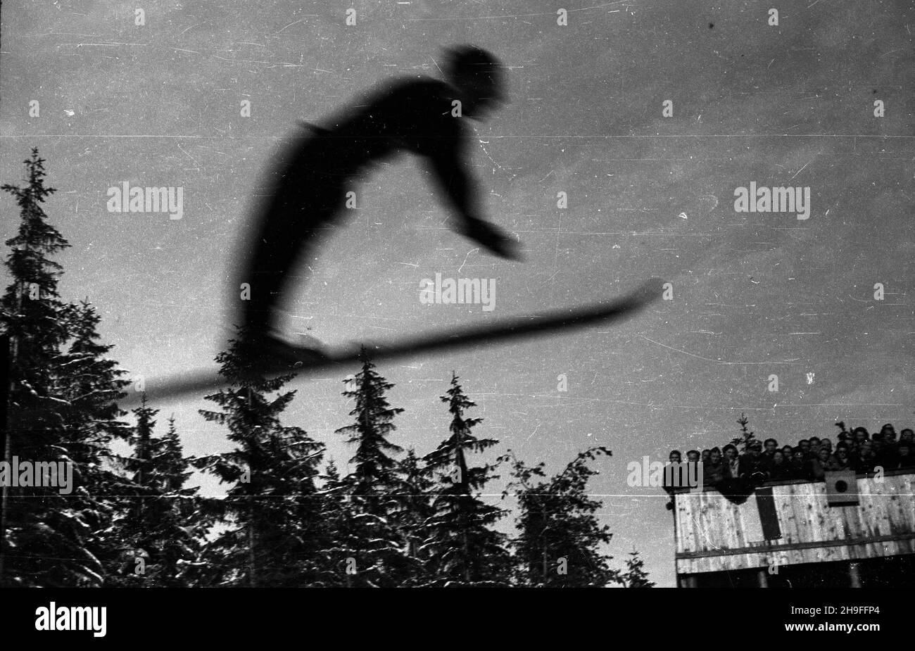 Karpacz, 1948-02. W dniach 19-20 lutego odby³y siê XXIII Narciarskie Mistrzostwa Polski.  bk  PAP      Karpacz, Feb. 1948. The 23rd Poland's Skiing Championship was held on February 19-20.   bk  PAP Stock Photo