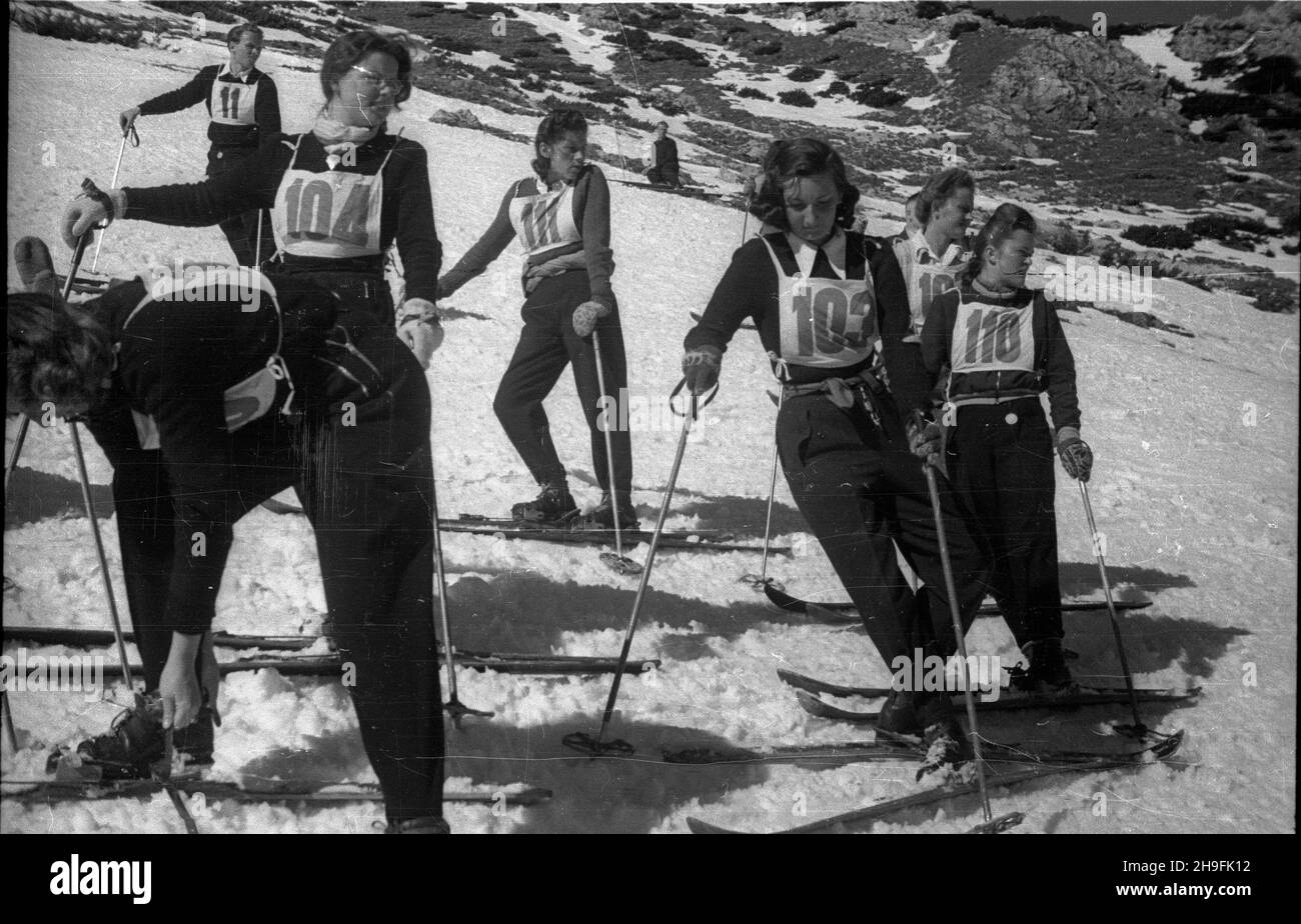Karpacz, 1948-02-21. W dniach 19-23 lutego odbywa³y siê XXIII Mistrzostwa Narciarskie Polski. Slalom kobiet wygra³a Teresa Kudelska (AZS Warszawa). Nz. zawodniczki slalomu na stoku, m.in. Teresa Kudelska (z numerem 104), Barbara Grocholska (2P). pw  PAP      Karpacz, Feb. 21, 1948. The 23rd Poland's Skiing Championship was held on February 19-23. Teresa Kudelska (AZS Warszawa) won women's slalom. Pictured: slalom contenders, including Teresa Kudelska (No. 104), Barbara Grocholska (2R).  pw  PAP Stock Photo