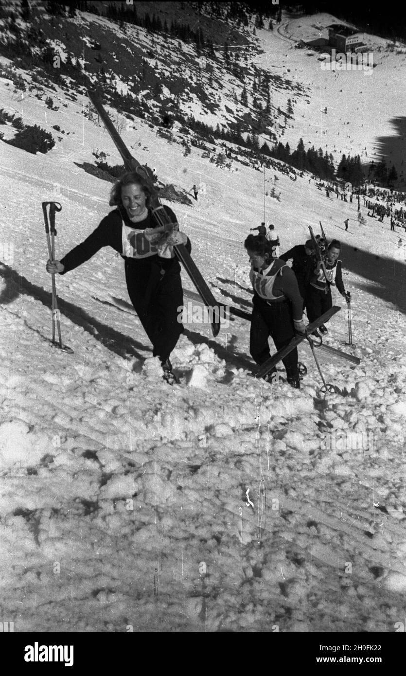 Karpacz, 1948-02-21. W dniach 19-23 lutego odbywa³y siê XXIII Mistrzostwa Narciarskie Polski. Slalom kobiet wygra³a Teresa Kudelska (AZS Warszawa). Nz. zawodniczki slalomu podchodz¹ na start. pw  PAP      Karpacz, Feb. 21, 1948. The 23rd Poland's Skiing Championship was held on February 19-23. Teresa Kudelska (AZS Warszawa) won women's slalom. Pictured: slalom contenders climbing to the start.  pw  PAP Stock Photo