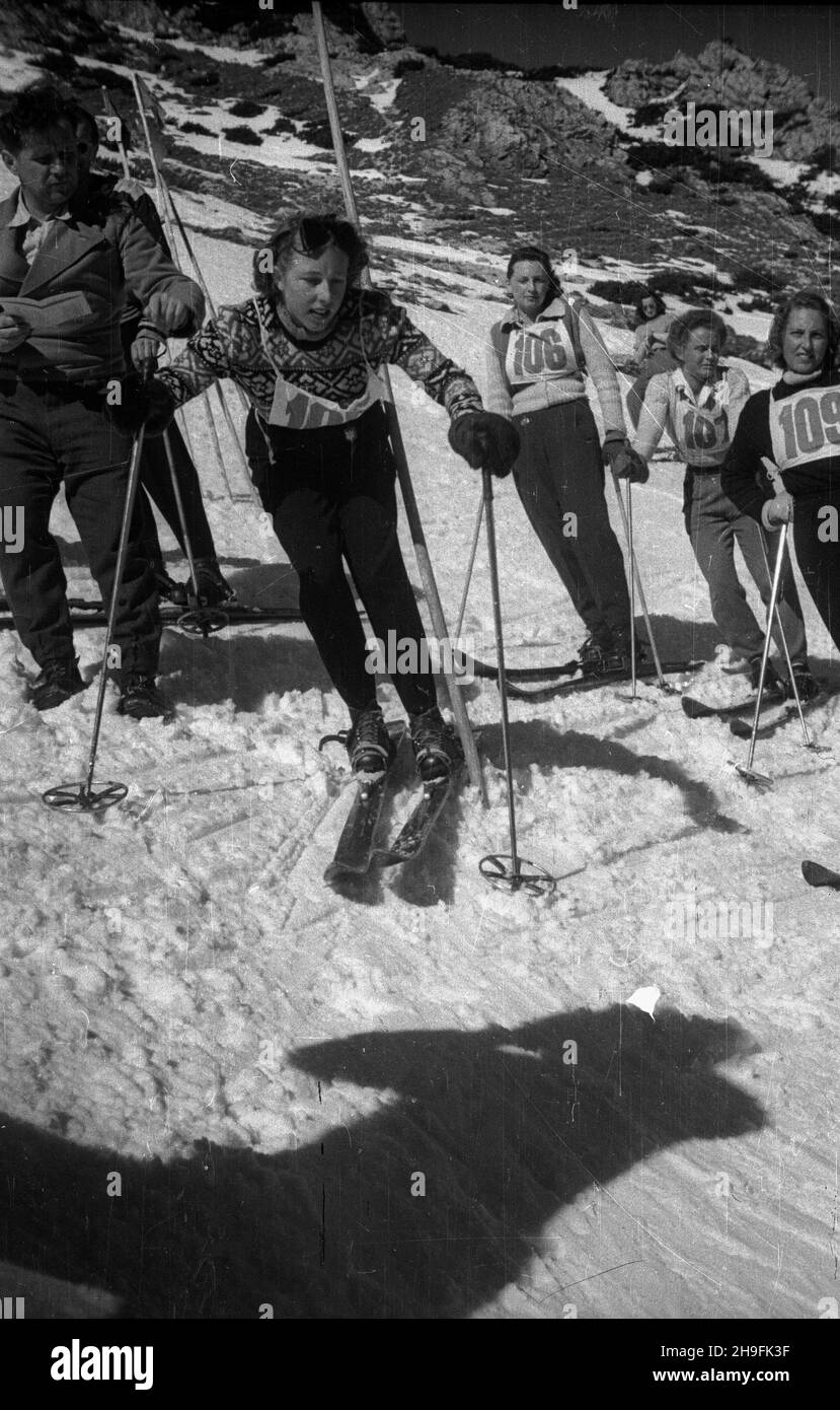 Karpacz, 1948-02-21. W dniach 19-23 lutego odbywa³y siê XXIII Mistrzostwa Narciarskie Polski. Slalom kobiet wygra³a Teresa Kudelska (AZS Warszawa). Nz. zawodniczki slalomu na starcie, 2P Barbara Grocholska. pw  PAP      Karpacz, Feb. 21, 1948. The 23rd Poland's Skiing Championship was held on February 19-23. Teresa Kudelska (AZS Warszawa) won women's slalom. Pictured: slalom contenders at the start, 2 from right Barbara Grocholska.  pw  PAP Stock Photo