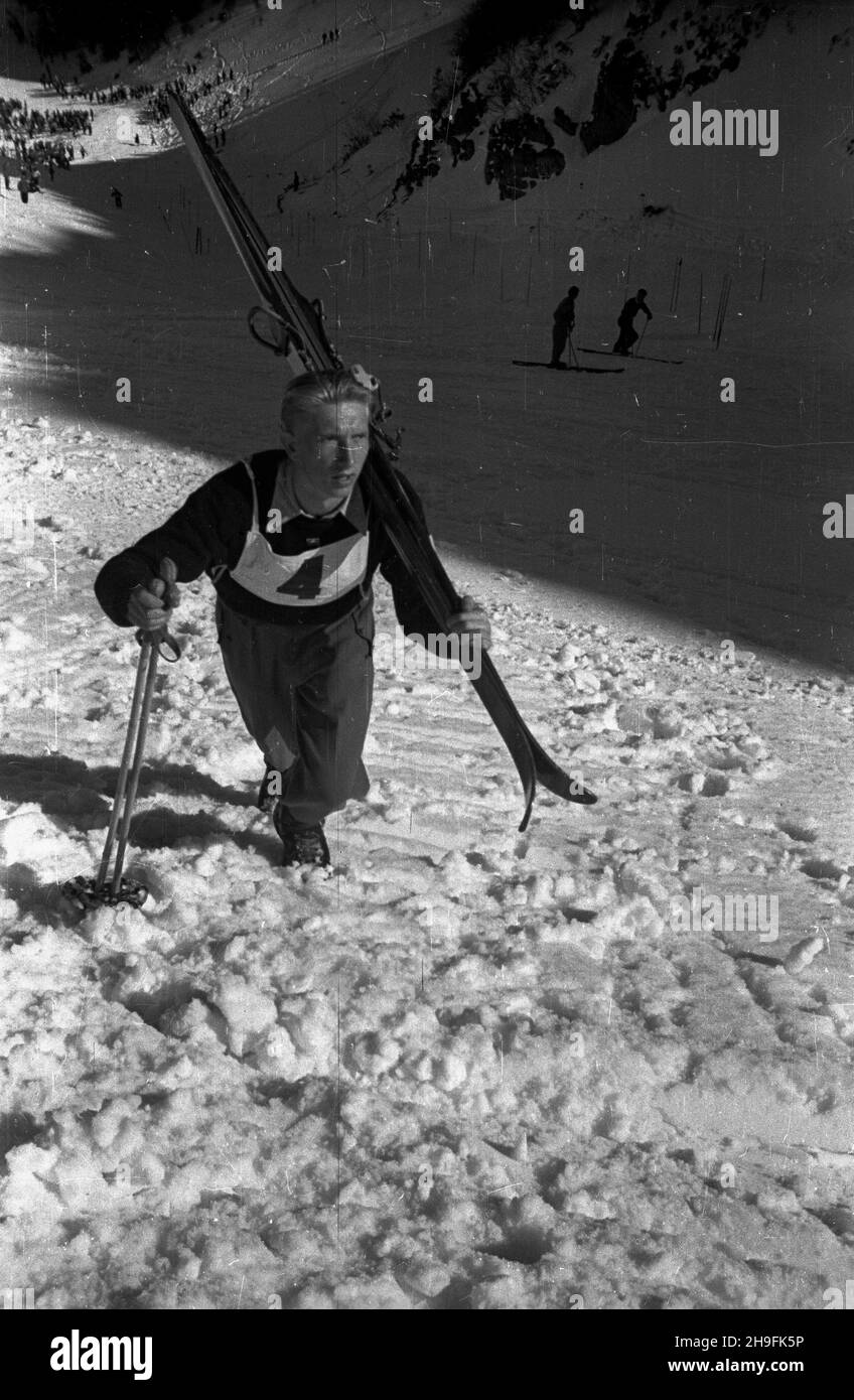 Karpacz, 1948-02-21. W dniach 19-23 lutego odbywa³y siê XXIII Mistrzostwa Narciarskie Polski. Slalom mê¿czyzn wygra³ Józef Marusarz (SNPTT Zakopane). Nz. jeden z zawodników podchodzi na start slalomu. pw  PAP      Karpacz, Feb. 21, 1948. The 23rd Poland's Skiing Championship was held on February 19-23. Jozef Marusarz (SNPTT Zakopane) won men's slalom. Pictured: a slalom   contender climbing to the start.   pw  PAP Stock Photo