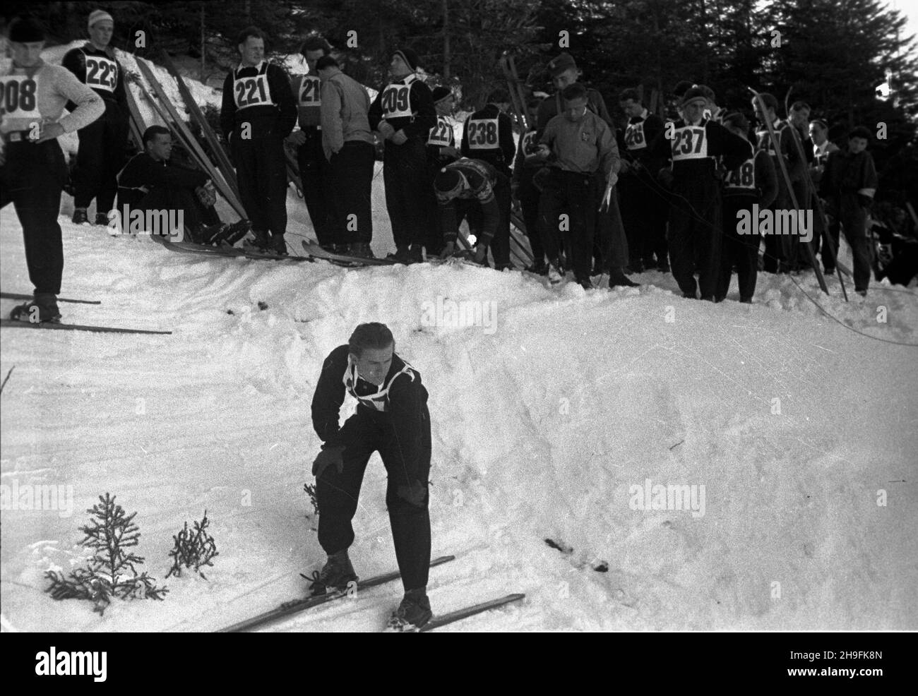 Karpacz, 1948-02-22. W dniach 19-23 lutego odbywa³y siê XXIII Mistrzostwa Narciarskie Polski. Zawody w skokach narciarskich rozegrano na skoczni Orlinek. Wygra³ je Stanis³aw Marusarz. Nz. jeden ze skoczków na rozbiegu skoczni Orlinek. pw  PAP    Karpacz, Feb. 22, 1948. The 23rd Poland's Skiing Championship was held on February 19-23. Stanislaw Marusarz won a ski jumping competition which was held at the Orlinek ski jump. Pictured: a jumper on the inrun of the Orlinek ski jump.  pw  PAP      Karpacz, Feb. 22, 1948. The 23rd Poland's Skiing Championship was held on February 19-23. Stanislaw Maru Stock Photo