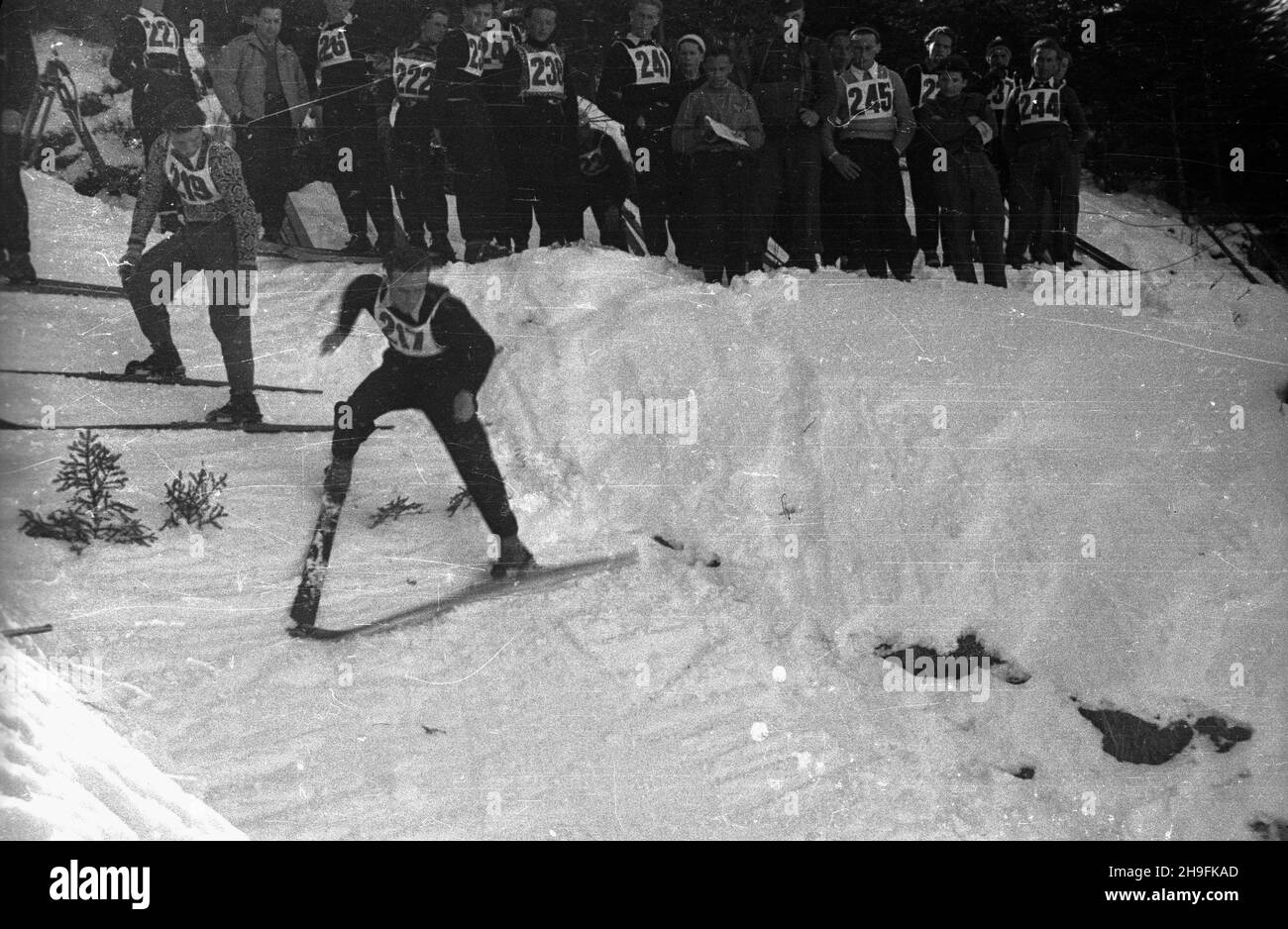 Karpacz, 1948-02-22. W dniach 19-23 lutego odbywa³y siê XXIII Mistrzostwa Narciarskie Polski. Zawody w skokach narciarskich rozegrano na skoczni Orlinek. Wygra³ je Stanis³aw Marusarz. Nz. jeden ze skoczków na rozbiegu skoczni Orlinek. pw  PAP    Karpacz, Feb. 22, 1948. The 23rd Poland's Skiing Championship was held on February 19-23. Stanislaw Marusarz won a ski jumping competition which was held at the Orlinek ski jump. Pictured: a jumper on the inrun of the Orlinek ski jump.  pw  PAP Stock Photo