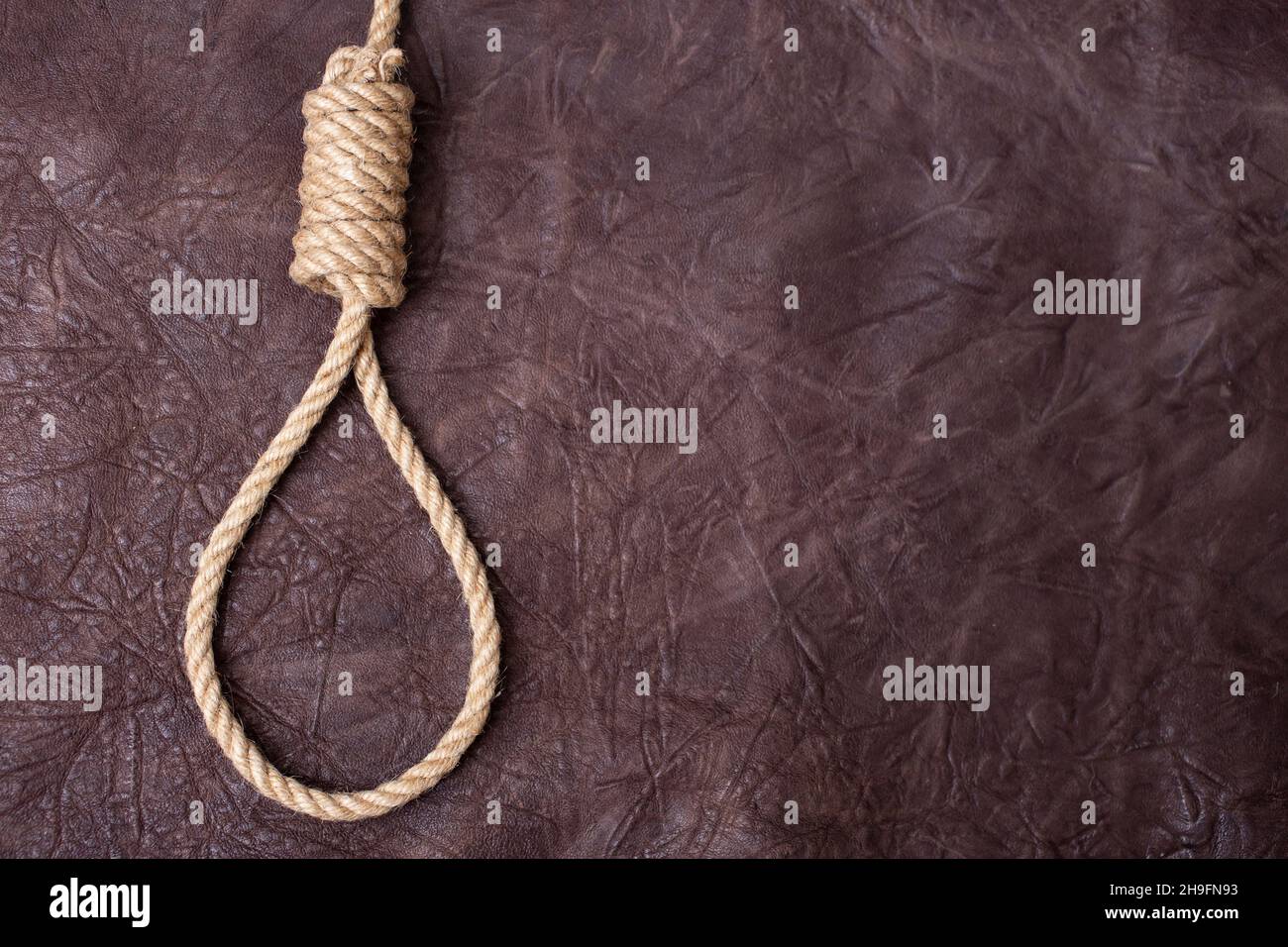 hangman's knot on brown textured leather background Stock Photo