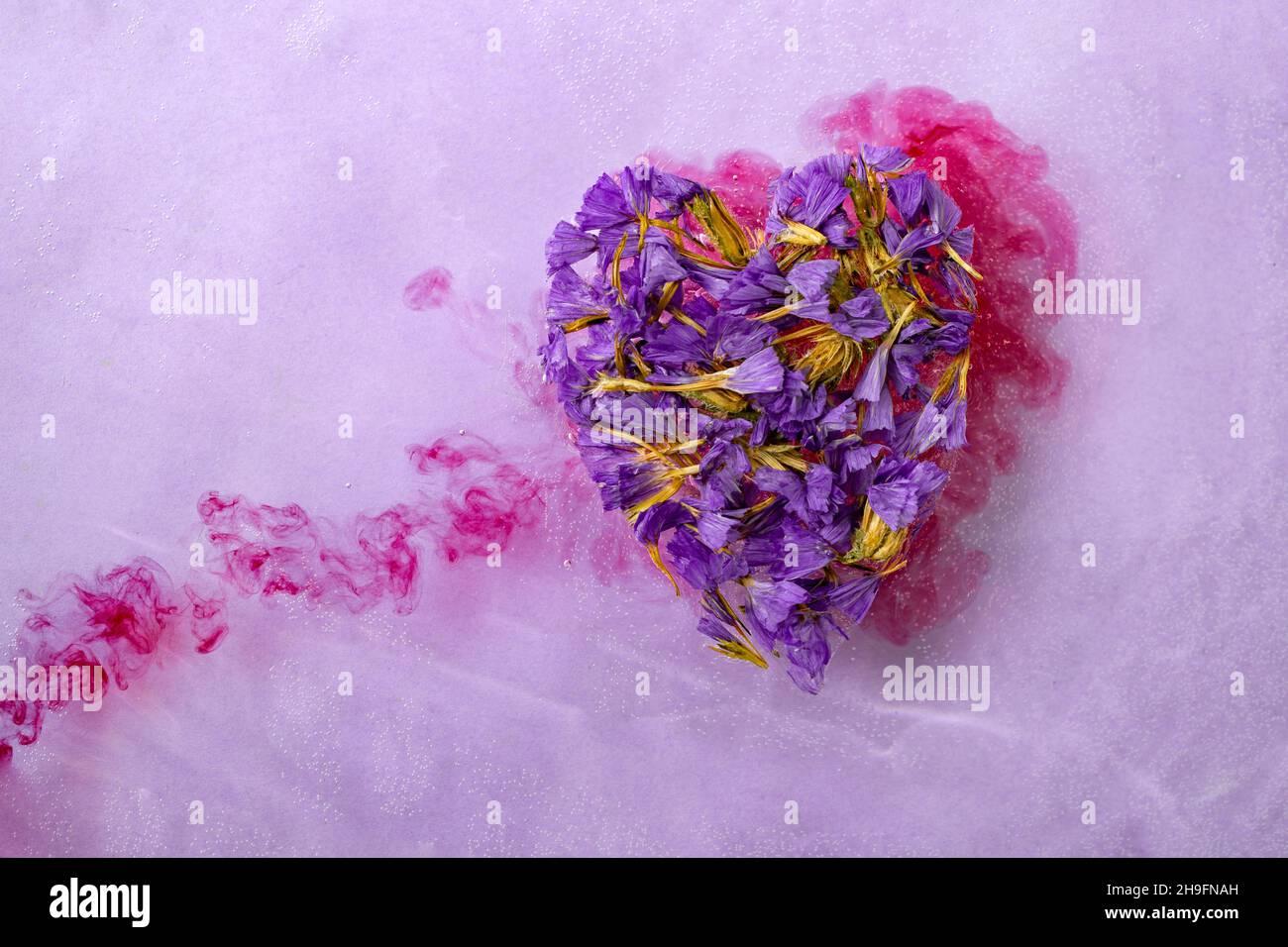 heart made of dried purple flowers, floating on water over a heart made of blood Stock Photo