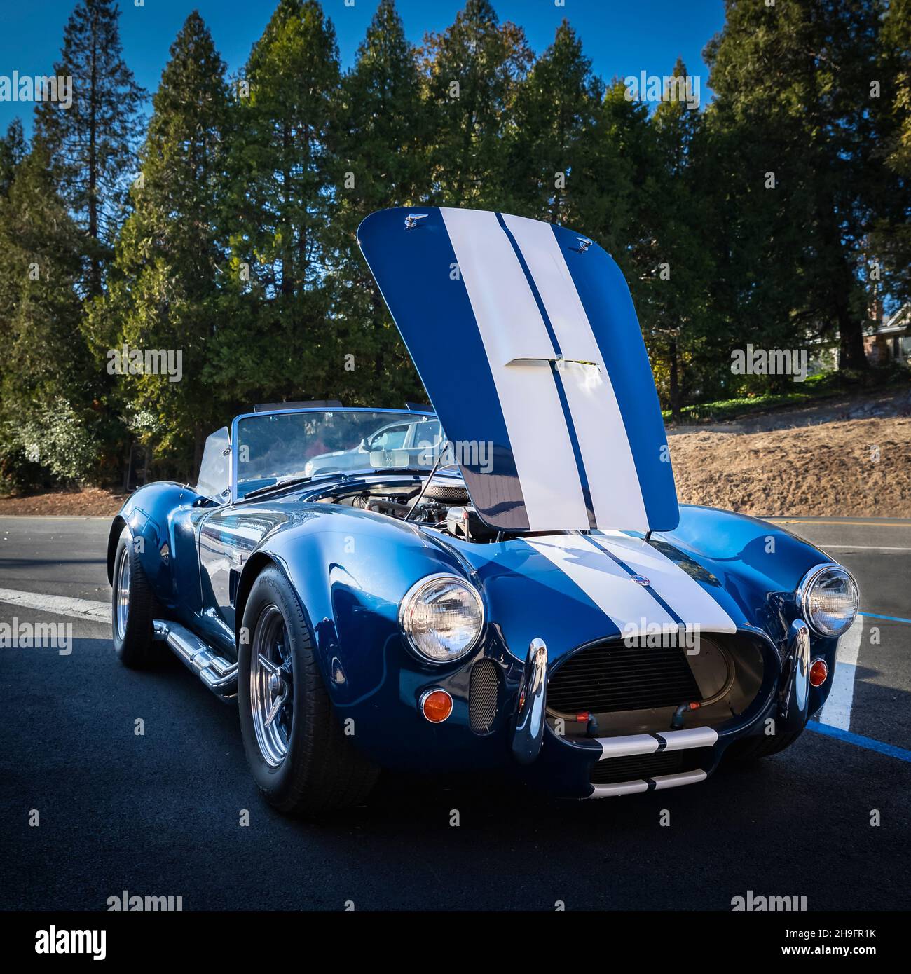 Shelby Cobra 427 Super Snake