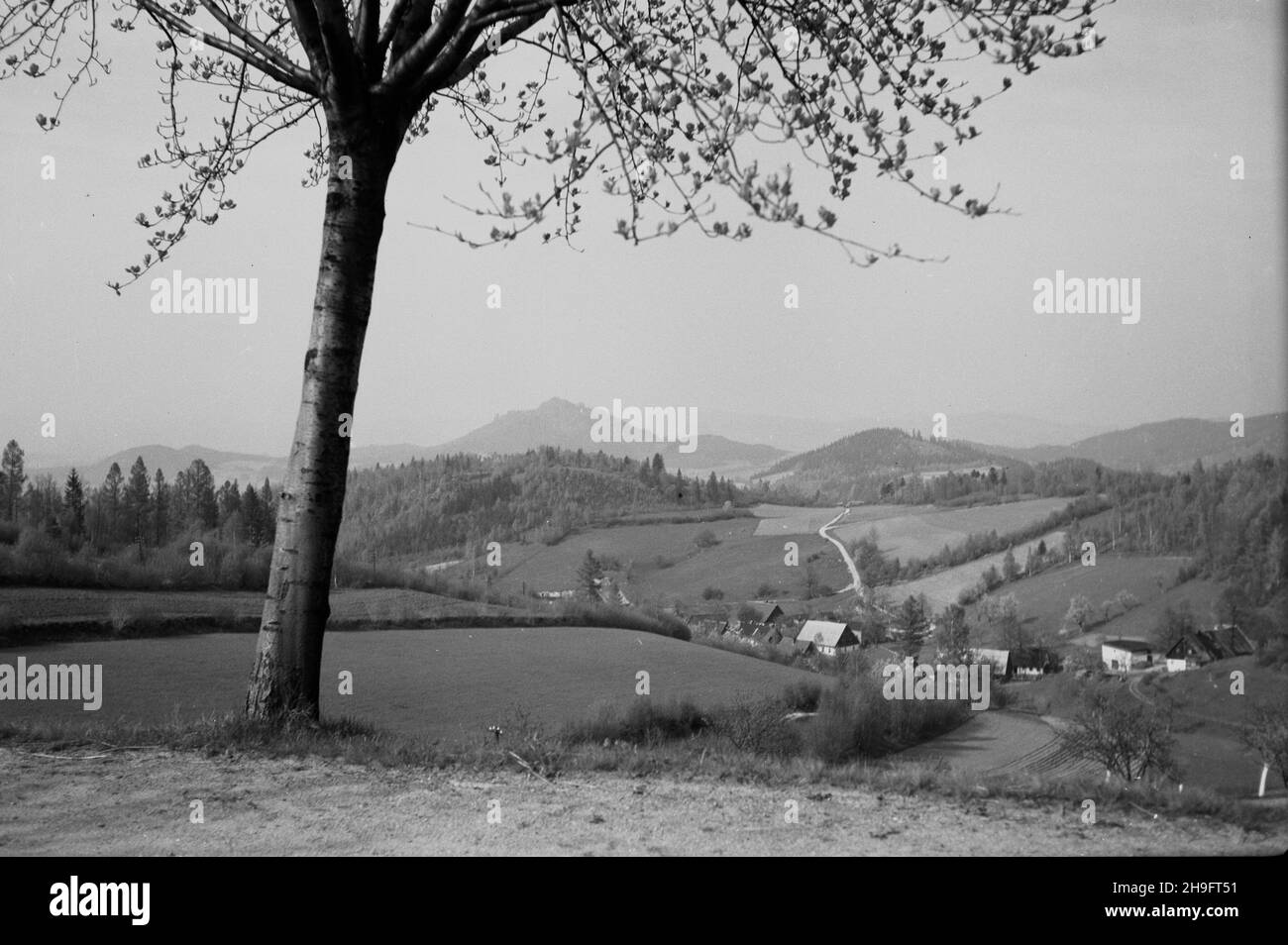 Bierutowice, 1948-03. Pejza¿ górski. wb  PAP  Dok³adny dzieñ wydarzenia nieustalony.      Bierutowice, March 1948. The mountanious landscape.  wb  PAP Stock Photo