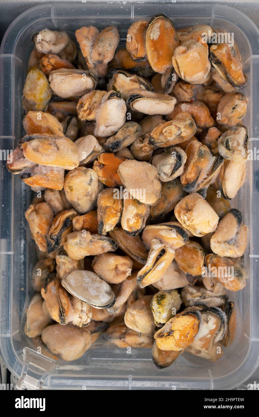 Frozen mussels in fridge at the fish market. Healthy eating and fish