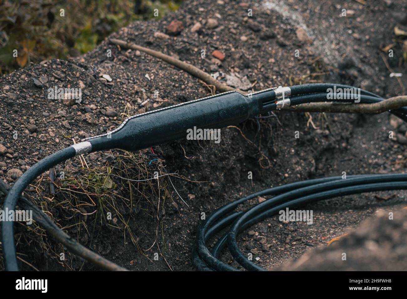 Industrial optical cable connection, Y split of a cable, shielded in a plastic enclosure seen dug up from the ground or trench at a construction site. Stock Photo