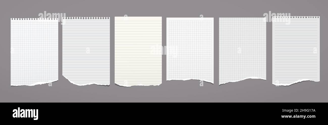 White torn, lined and squared note, notebook paper are on dark grey background for text, advertising or design. Vector illustration Stock Vector