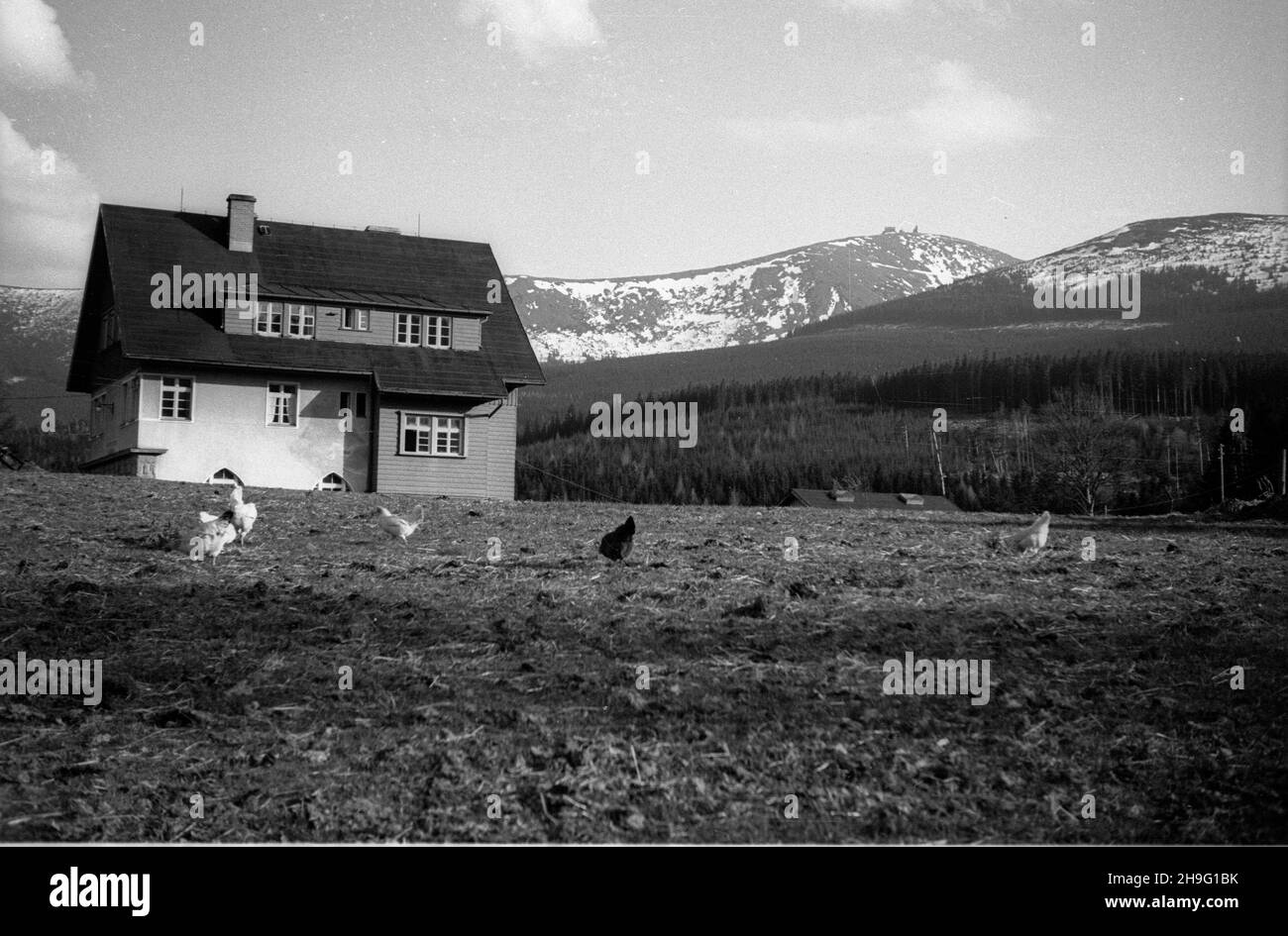 Bierutowice, 1948-04. Widok na pasmo Karkonoszy z najwy¿sz¹ gór¹ Œnie¿k¹ (C) oraz Kop¹ (P). rd  PAP  Dok³adny dzieñ wydarzenia nieustalony.    Bierutowice, April 1948. A view of the Karkonosze Mountains with its highest peaks Sniezka (center) and Kopa (right).  rd  PAP Stock Photo