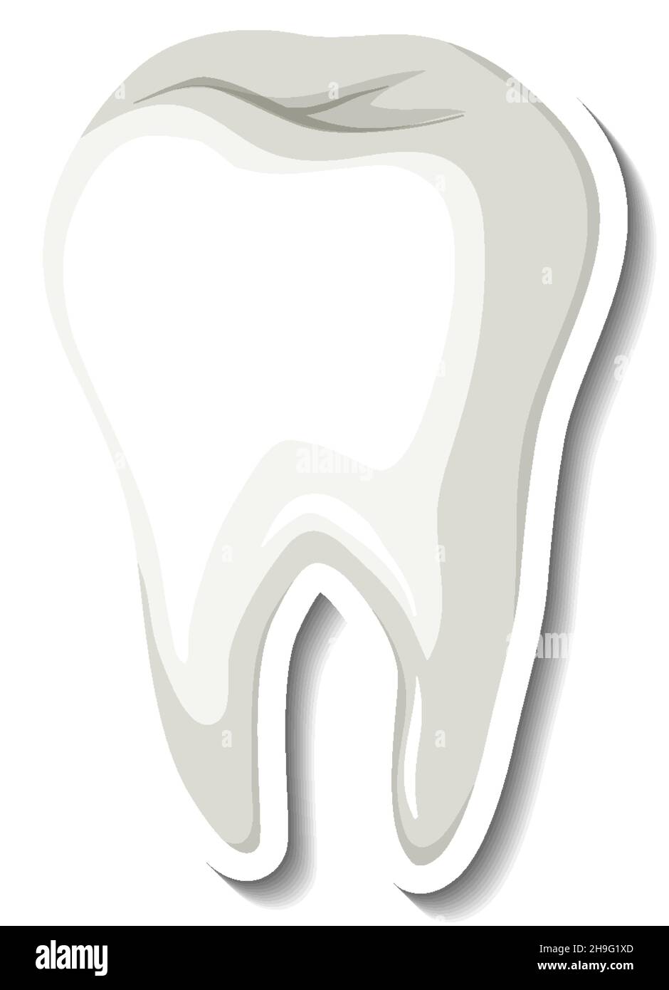 Isolated white tooth on white background illustration Stock Vector ...