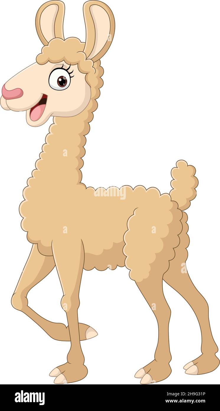 Cute alpaca cartoon on white background Stock Vector